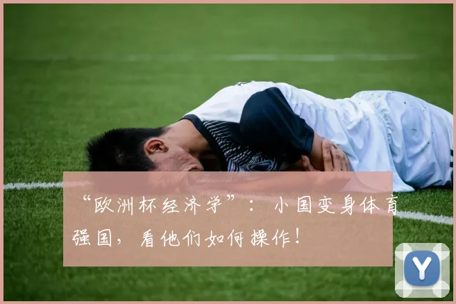 “欧洲杯经济学”:小国变身体育强国,看他们如何操作!