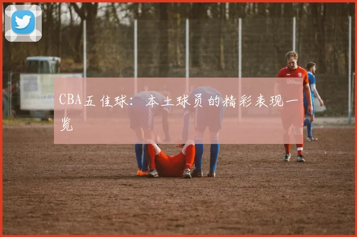 CBA五佳球:本土球员的精彩表现一览