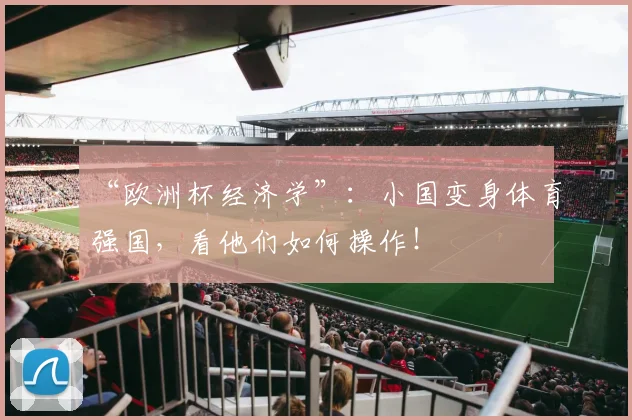 “欧洲杯经济学”:小国变身体育强国,看他们如何操作!